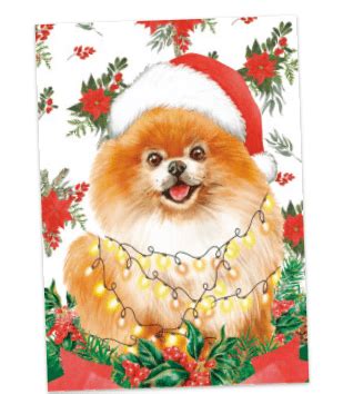 10 best charity Christmas cards: Help make a difference this year.